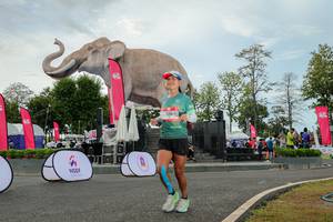 BIB: 
                            <button type="button" onclick="openModal(26528781)" class="btn btn-primary btn-sm float-right btn-popup" data-toggle="modal" data-target=".modal-high-quality">
                        <i class="fas fa-shopping-cart"></i> Add to Cart
                    </button>
                                            <button type="button" onclick="isThisMe(26528781, true)" class="btn btn-success btn-sm float-right btn-popup btn-isme hidden" data-toggle="tooltip" data-placement="bottom" title="นี่คือรูปของคุณใช่ไหม คลิกที่นี่เพื่อเอาเข้าอัลบั้ม">
                        <i class="fas fa-plus"></i> Add to album
                    </button>
                    <button type="button" onclick="isThisMe(26528781, false)" class="btn btn-warning btn-sm float-right btn-popup btn-isnotme hidden">
                        <i class="fas fa-ban"></i> Remove from album
                    </button>